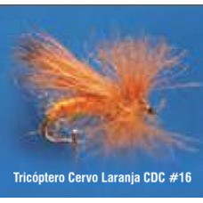 Tricóptero Cervo Laranja CDC 